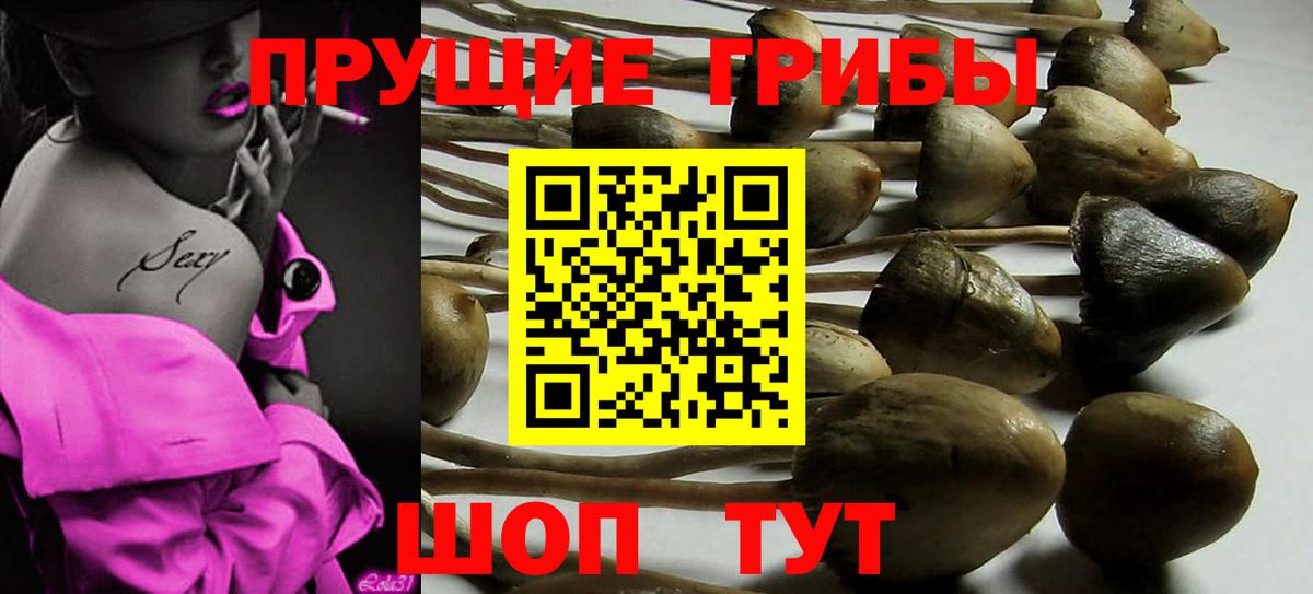 Благодарный  Галлюциногенные грибы Magic Shrooms  Псилоцибиновые грибы ЛСД  Вход с VPN 